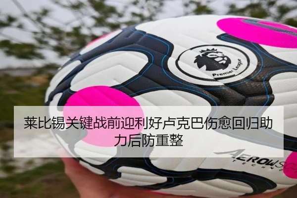 莱比锡关键战前迎利好卢克巴伤愈回归助力后防重整